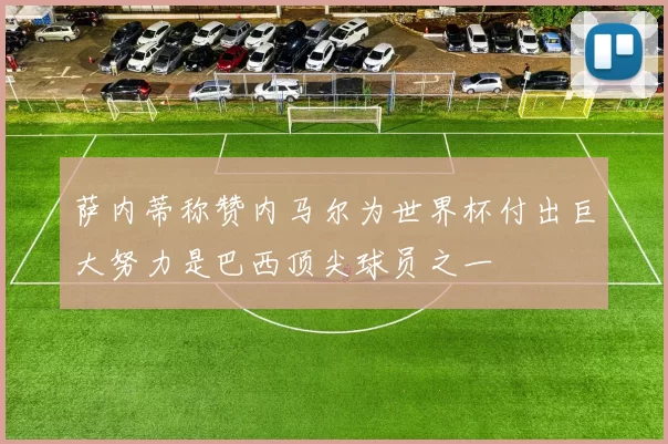 萨内蒂称赞内马尔为世界杯付出巨大努力是巴西顶尖球员之一