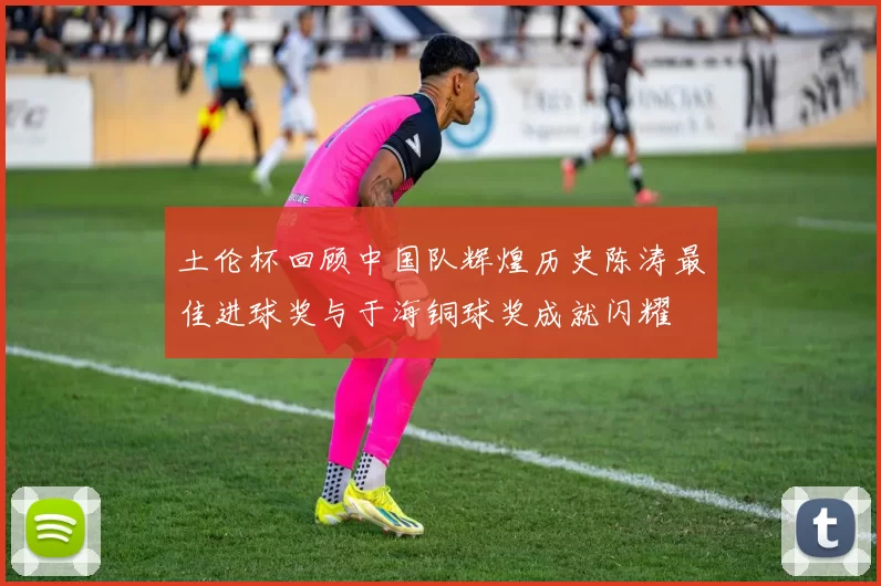 土伦杯回顾中国队辉煌历史陈涛最佳进球奖与于海铜球奖成就闪耀